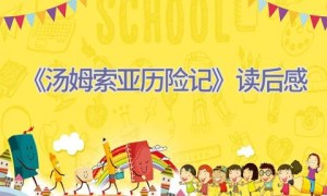 《汤姆索亚历险记》读后感