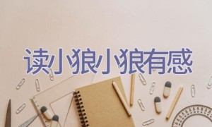 读小狼小狼有感