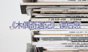 《木偶奇遇记》读后感