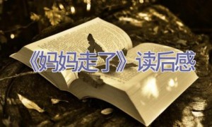 《妈妈走了》读后感
