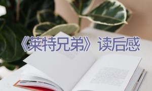 《莱特兄弟》读后感