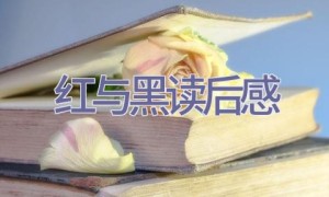 红与黑读后感