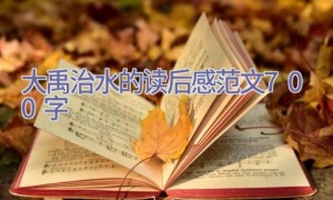 大禹治水的读后感范文700字