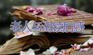 老人与海读后感