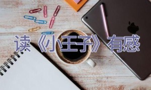 读《小王子》有感