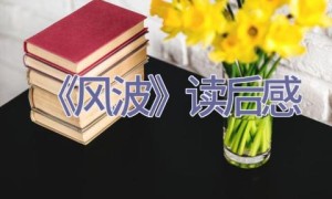 《风波》读后感