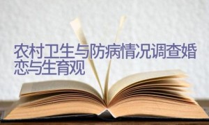 农村卫生与防病情况调查-婚恋与生育观