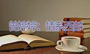 曾婷婷：情系西部