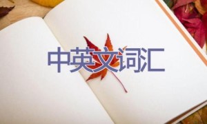 中英文词汇