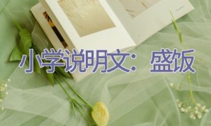 小学说明文：盛饭