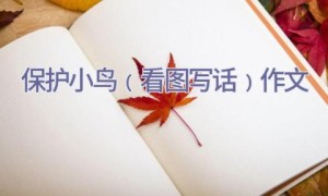 保护小鸟﹙看图写话﹚作文
