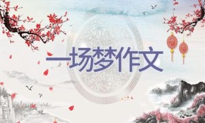 一场梦作文