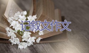 记叙文作文