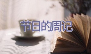 节日的周记