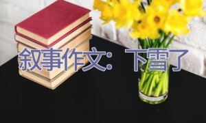 叙事作文：下雪了