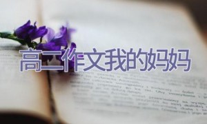 高二作文我的妈妈