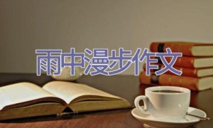 雨中漫步作文