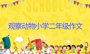 观察动物小学二年级作文