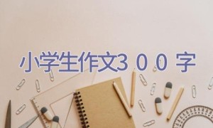 小学生作文300字