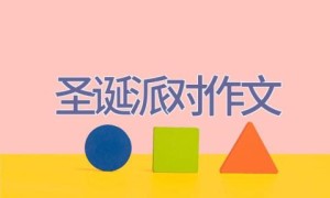 圣诞派对作文