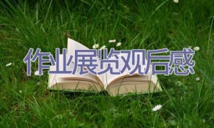 作业展览观后感