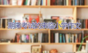 期末考试的来临小学作文