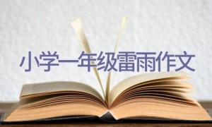 小学一年级雷雨作文