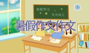 暑假作文作文