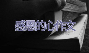 感恩的心作文