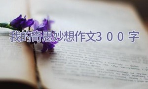 我的奇思妙想作文300字