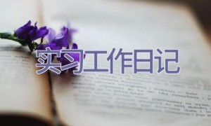 实习工作日记