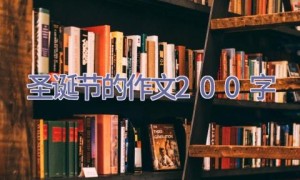 圣诞节的作文200字