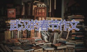 武汉的春节作文