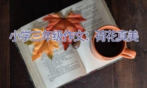 小学三年级作文：荷花真美