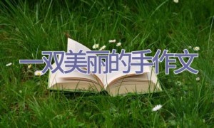 一双美丽的手作文