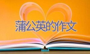 蒲公英的作文