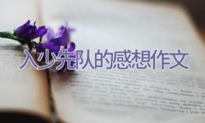 入少先队的感想作文
