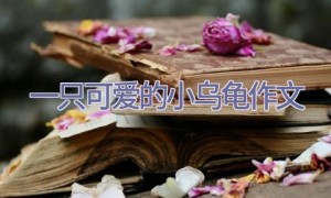 一只可爱的小乌龟作文