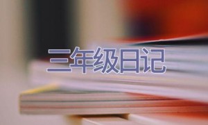 三年级日记