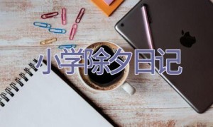 小学除夕日记