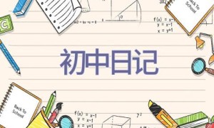 初中日记