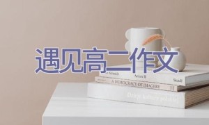 遇见高二作文