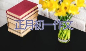 正月初一作文
