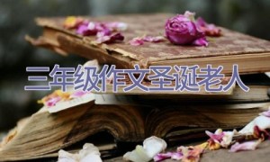 三年级作文圣诞老人