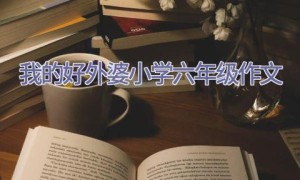 我的好外婆小学六年级作文