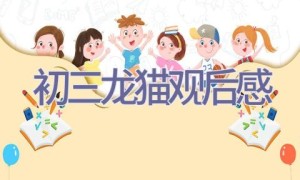 初三龙猫观后感