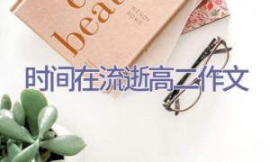 时间在流逝高二作文