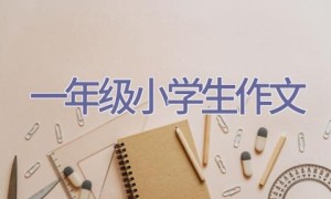 一年级小学生作文