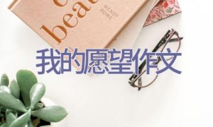 我的愿望作文