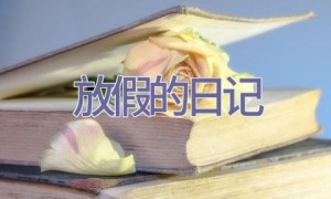 放假的日记